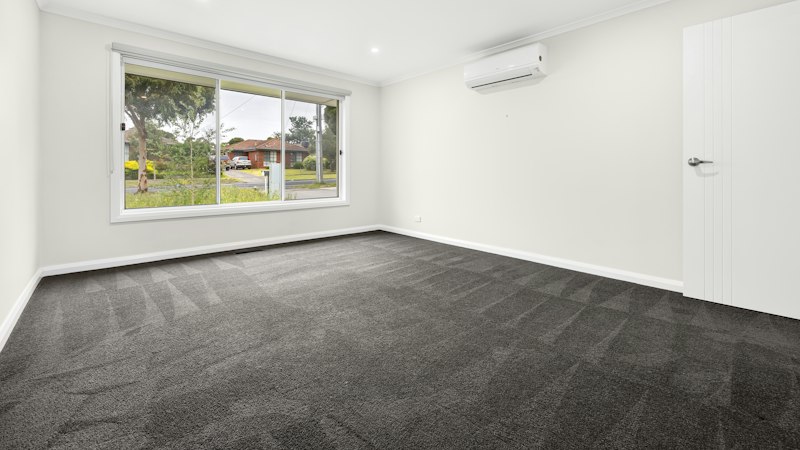 Empty room with new charcoal wall-to-wall carpet showing fresh vacuum lines across the pile