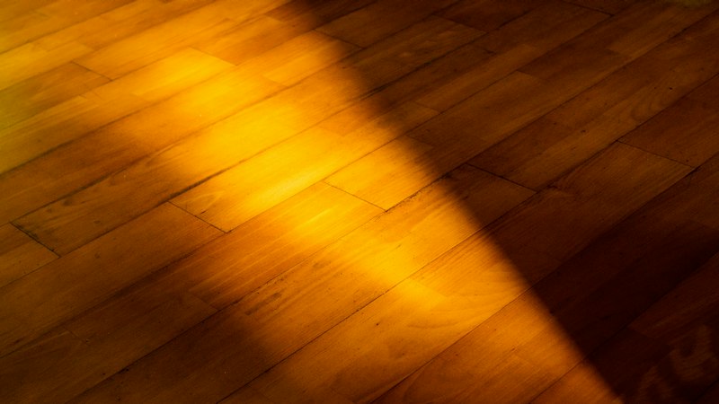 Warm sunlight raking across a wood plank floor, highlighting its top surface and grain