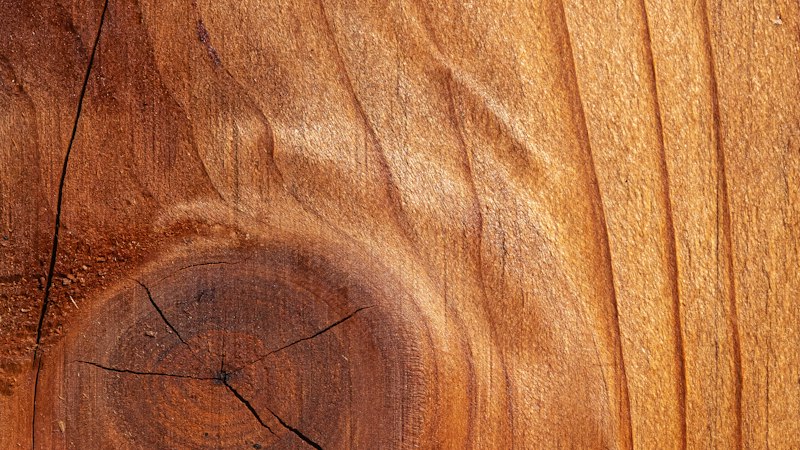 Close-up of wood grain and growth rings showing the natural structure of solid hardwood