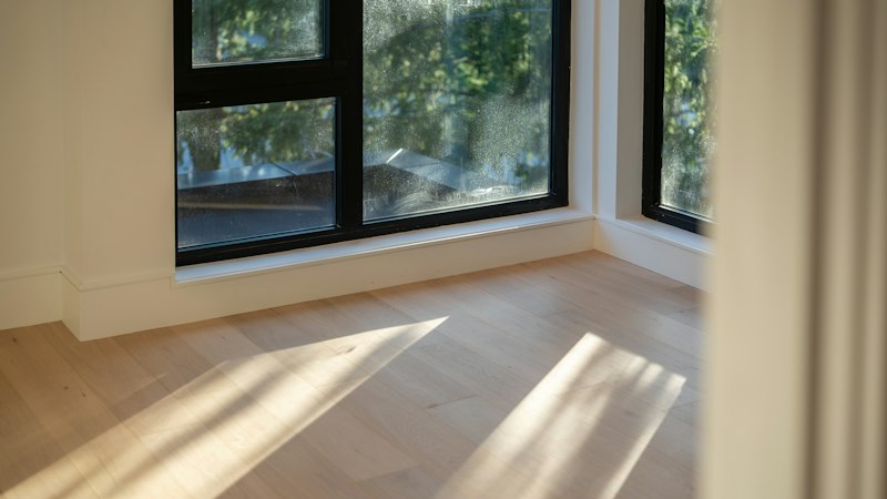 Sunlight across light wide-plank wood flooring in an empty room with black-framed windows