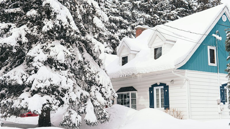 Snow-covered house surrounded by snowy evergreen trees in winter