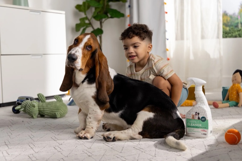 Boy and dog on Shaw Pet Perfect carpet in Denver home